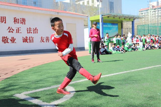 连播51年!太阳传奇播音员麦考伊离世 享年91岁